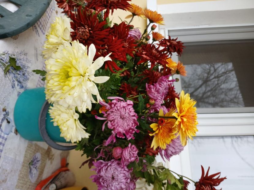  - Crizanteme si tufanele