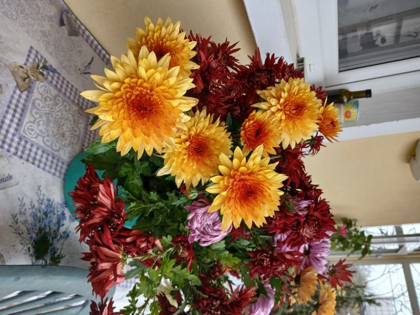  - Crizanteme si tufanele