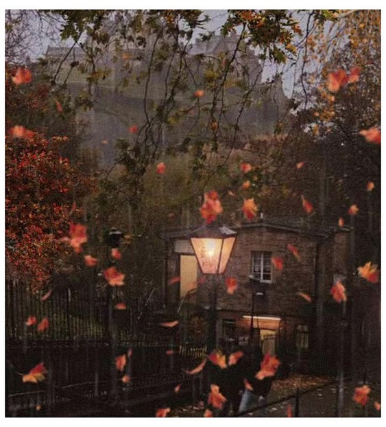 ♡ ɴᴏᴠᴇᴍʙᴇʀ 19 » - Incredibly Nostalgic