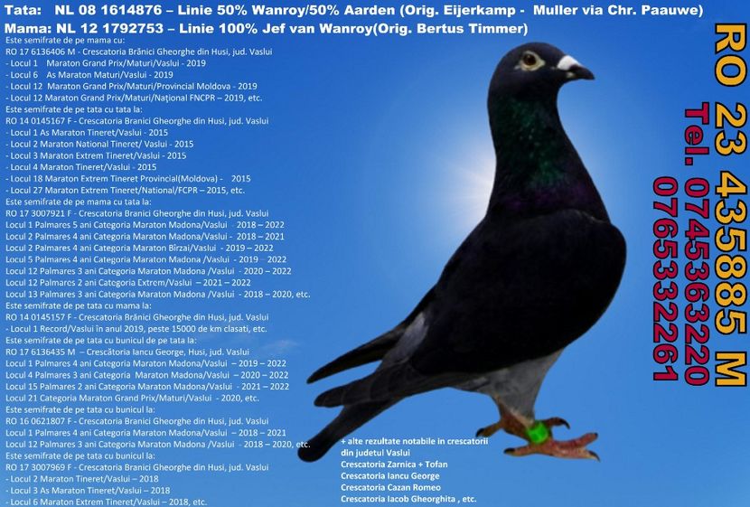 RO 23 435885 M REZERVAT Dumitru Gaitan Pret 500 Lei + transportul - ARHIVA