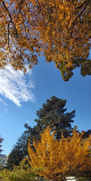  - 2025 Din toamna anului 2025