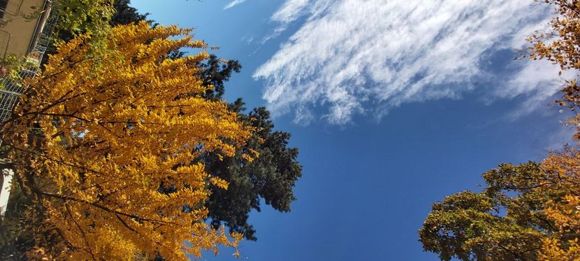  - 2025 Din toamna anului 2025