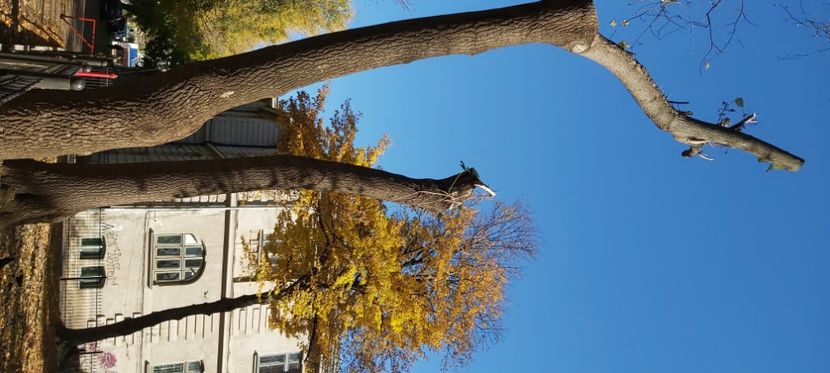  - 2025 Din toamna anului 2025