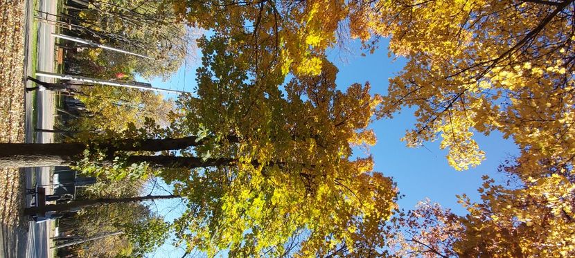  - 2025 Din toamna anului 2025