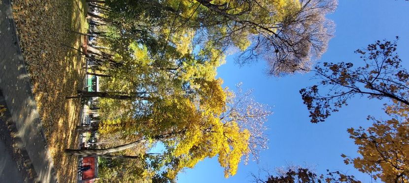  - 2025 Din toamna anului 2025