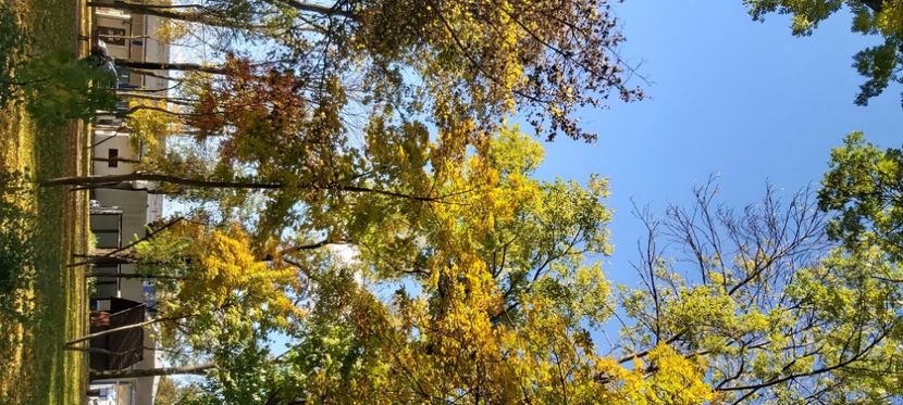  - 2025 Din toamna anului 2025