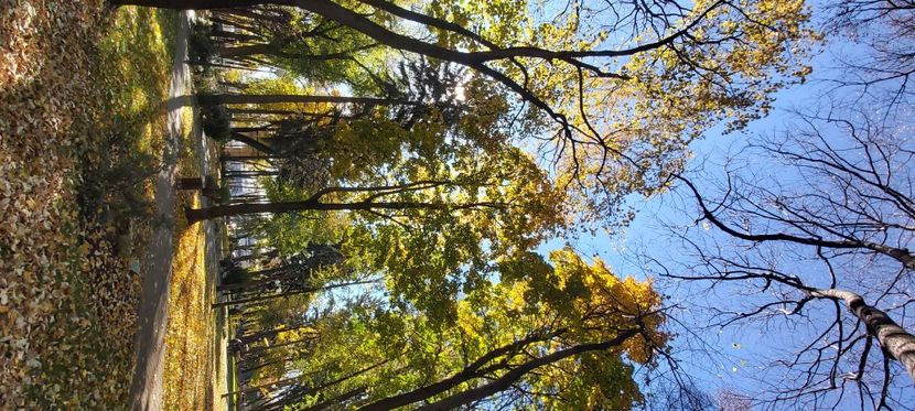  - 2025 Din toamna anului 2025