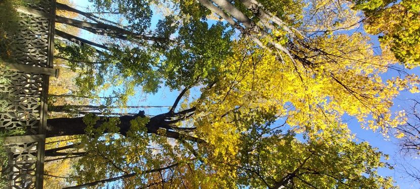  - 2025 Din toamna anului 2025