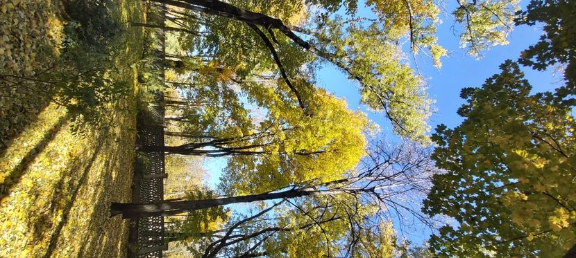  - 2025 Din toamna anului 2025