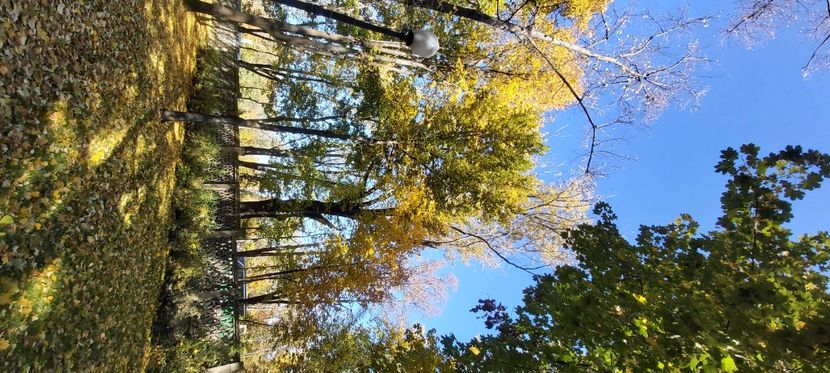  - 2025 Din toamna anului 2025