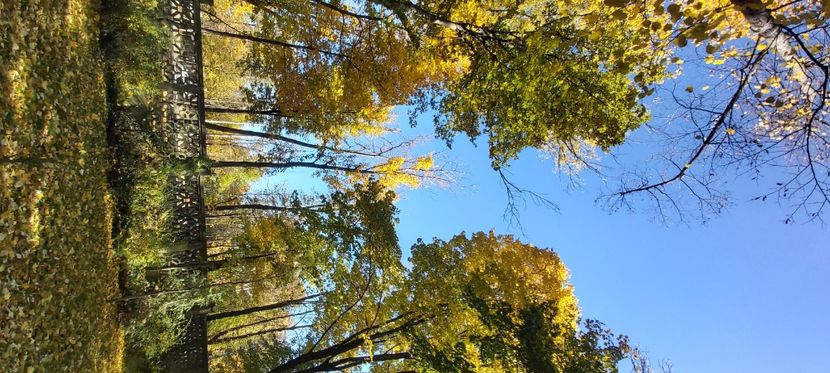  - 2025 Din toamna anului 2025