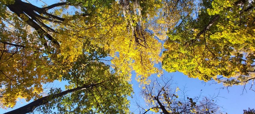  - 2025 Din toamna anului 2025