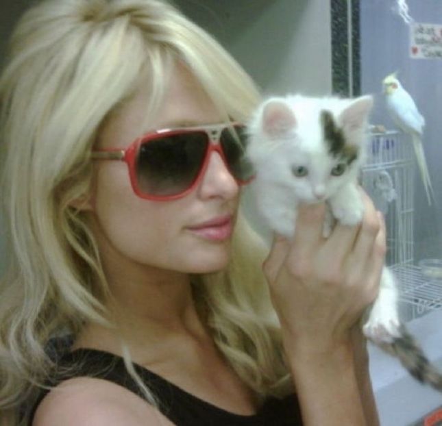  - Belivedere Soda 3 Lemons Carcass Out I finala