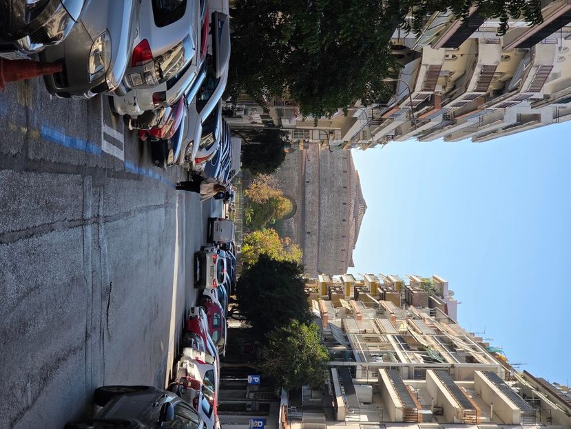  - Pelerinaj la Muntele Athos