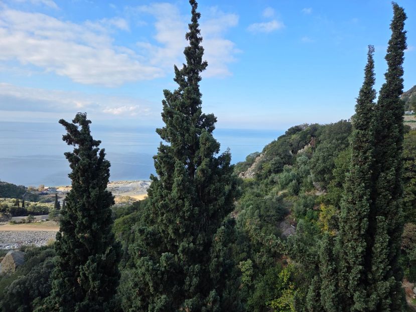  - Pelerinaj la Muntele Athos