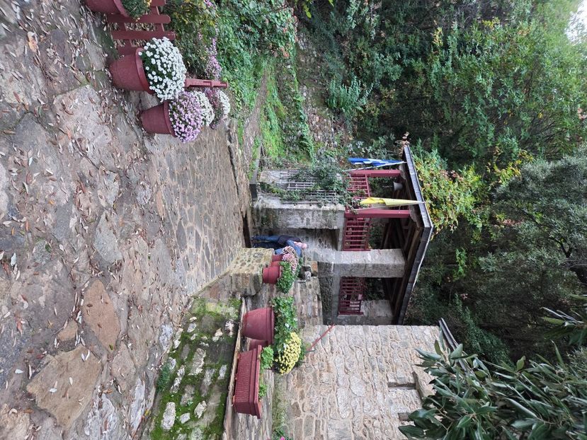  - Pelerinaj la Muntele Athos