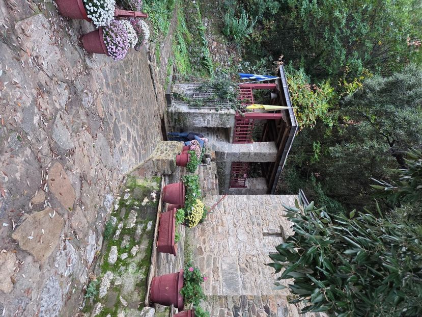  - Pelerinaj la Muntele Athos