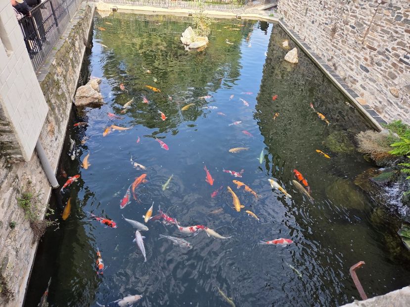  - Pelerinaj la Muntele Athos