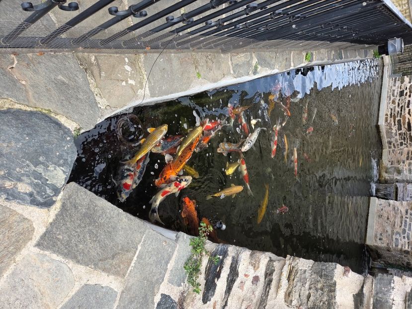  - Pelerinaj la Muntele Athos