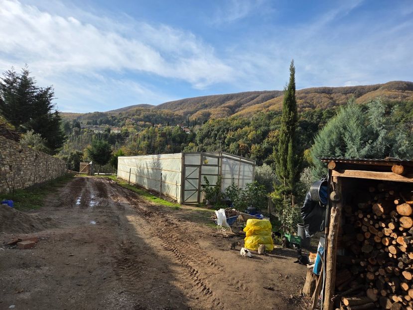  - Pelerinaj la Muntele Athos