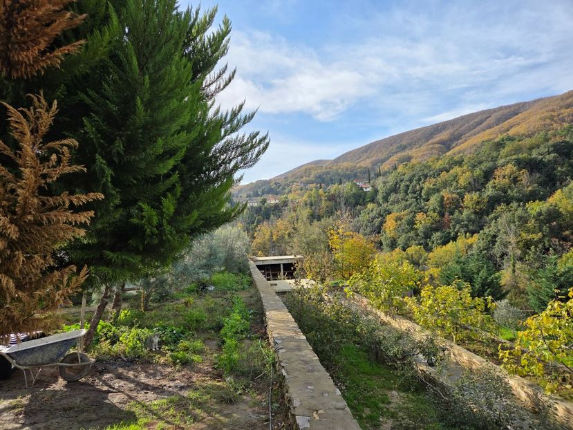  - Pelerinaj la Muntele Athos