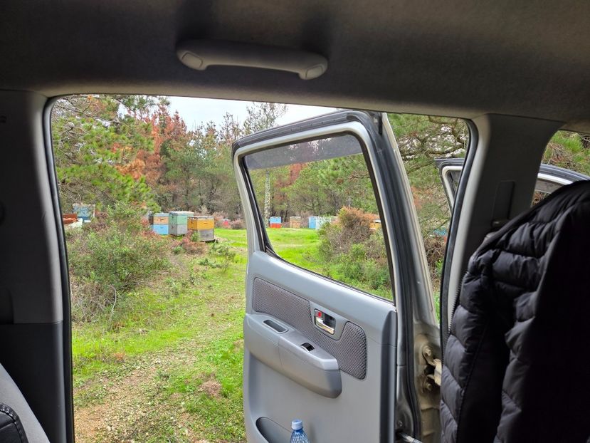  - Pelerinaj la Muntele Athos