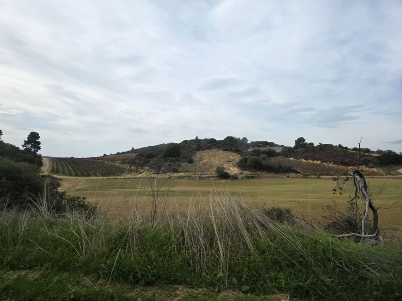  - Pelerinaj la Muntele Athos