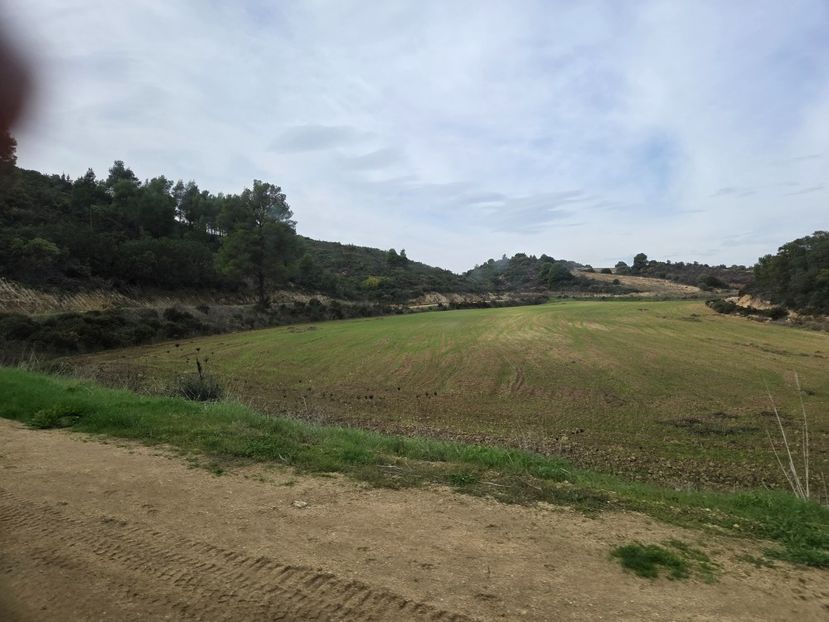  - Pelerinaj la Muntele Athos