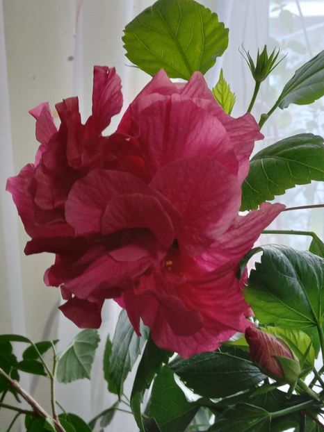  - SEPTEMBRIE-OCTOMBRIE - NOIEMBRIE