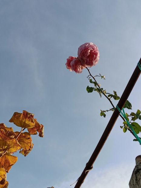  - SEPTEMBRIE-OCTOMBRIE - NOIEMBRIE