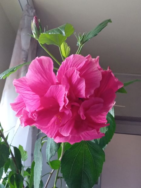  - SEPTEMBRIE-OCTOMBRIE - NOIEMBRIE