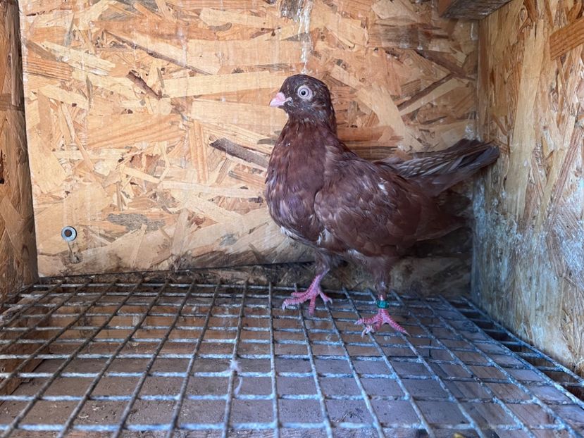 1922/25 - 8-lot zbor 2025