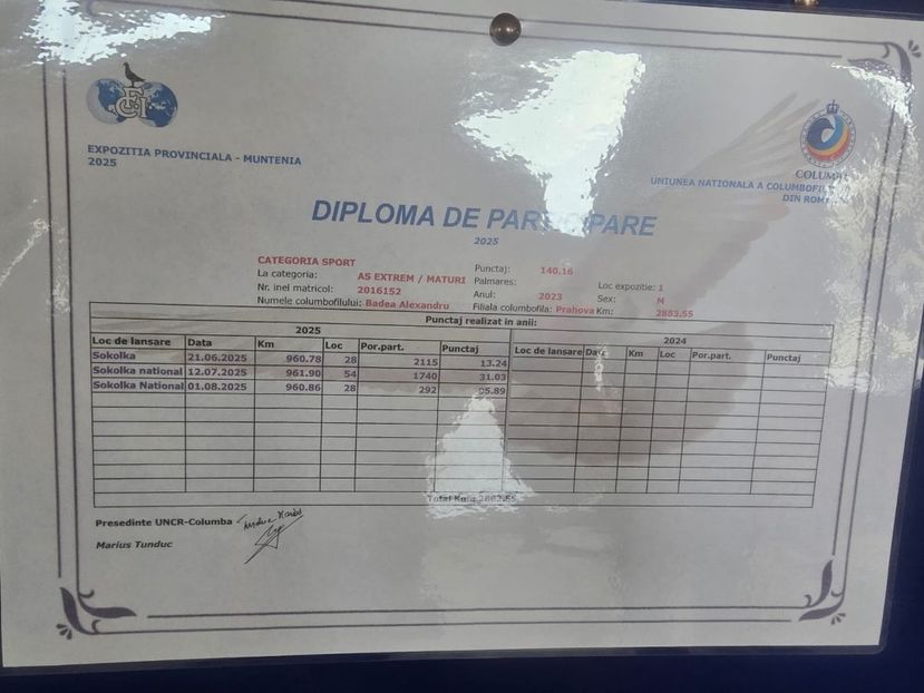 IMG-20251122-WA0043 - 22-11-2025-Expoziție Provinciala Oltenia-Muntenia-Columba-Targu Jiu