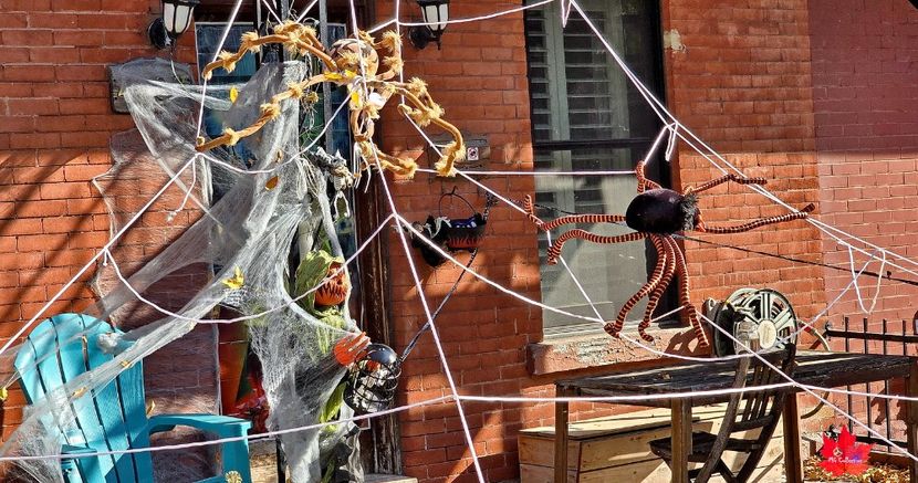 Montreal Street Art 5a - - MONTREAL STREET ART