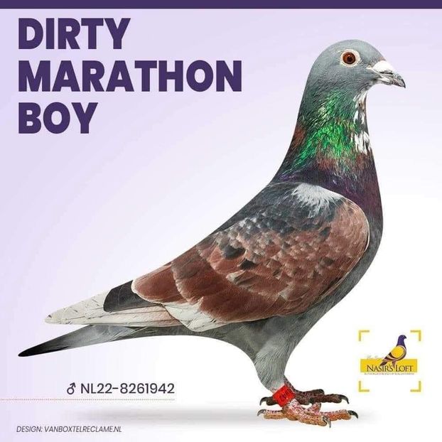  - Nu îmi aparțin 11