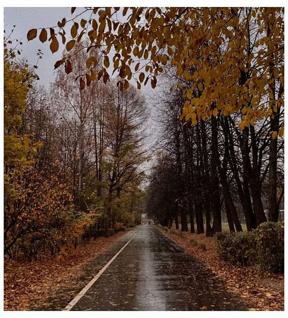 ♡ ɴᴏᴠᴇᴍʙᴇʀ 25 » - Incredibly Nostalgic