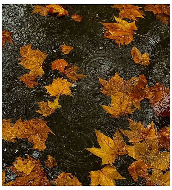 ♡ ɴᴏᴠᴇᴍʙᴇʀ 26 » - Incredibly Nostalgic