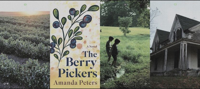 ˓♥♥♡♡♡˒ ‘ᵎṬḥẹ Ḅẹṛṛỵ P̣ịc̣ḳẹṛṣ ᵇʸAmandaP.’ ⠀⠀—Standalone. - a stranger to heaven and earth