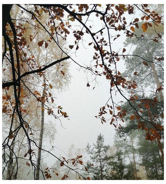 ♡ ɴᴏᴠᴇᴍʙᴇʀ 27 » - Incredibly Nostalgic