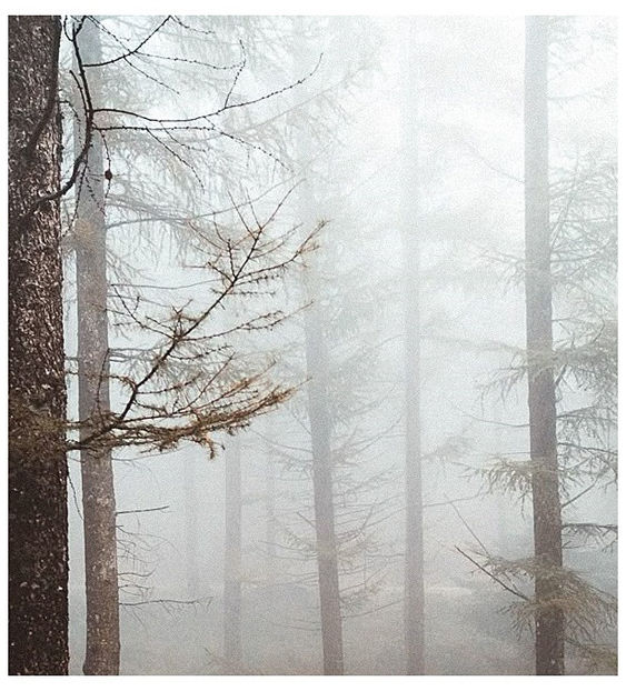 ♡ ɴᴏᴠᴇᴍʙᴇʀ 28 » - Incredibly Nostalgic