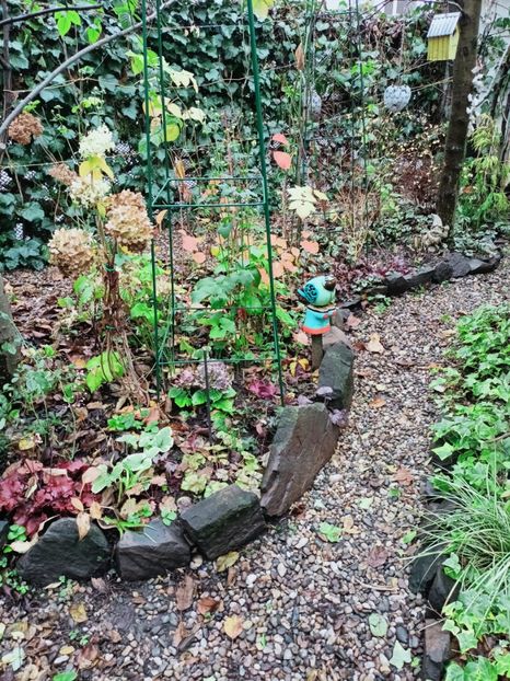  - Grădina 2025 continuare 6