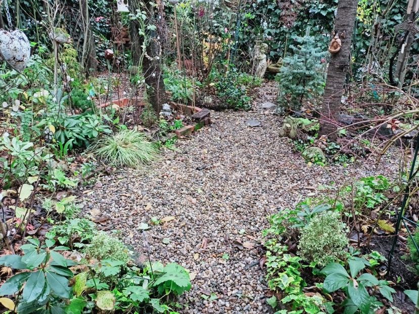  - Grădina 2025 continuare 6