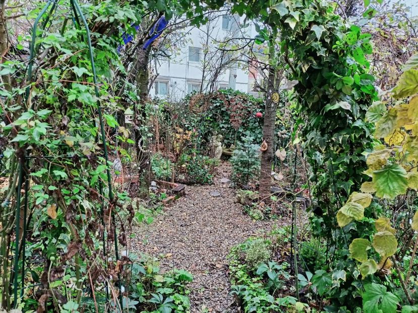  - Grădina 2025 continuare 6