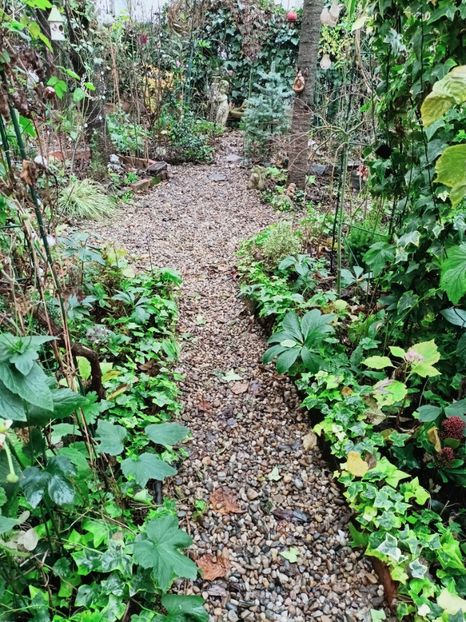  - Grădina 2025 continuare 6