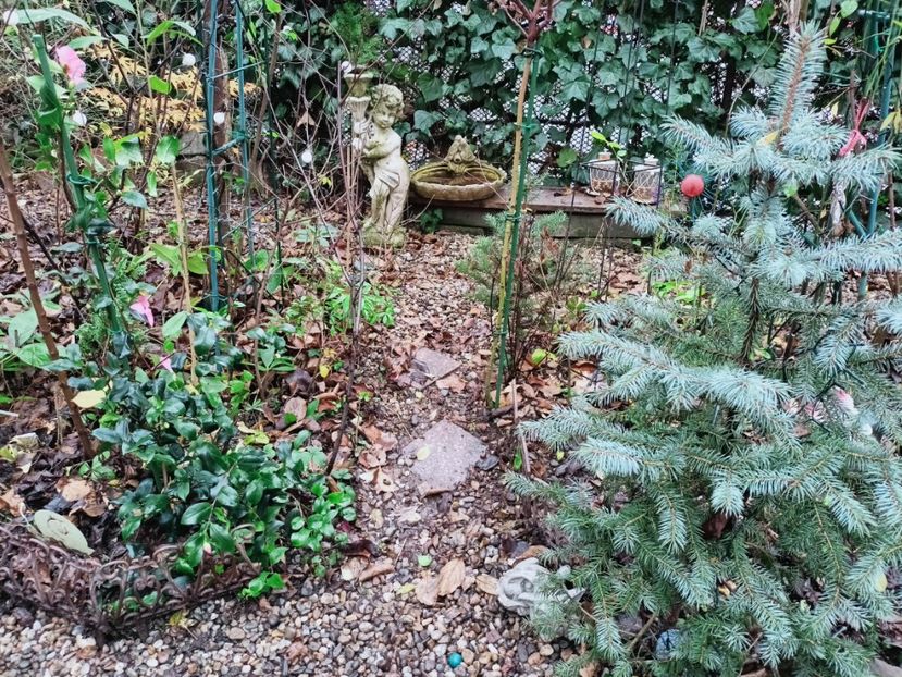  - Grădina 2025 continuare 6