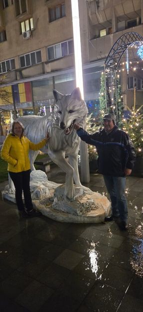  - Brașov noiembrie 2025