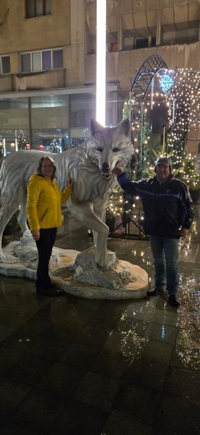  - Brașov noiembrie 2025