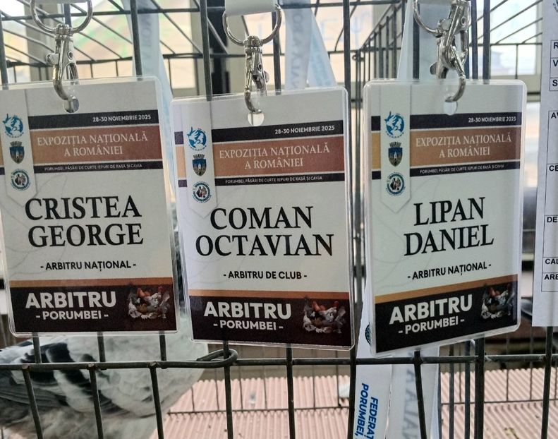  - Contact 0721627265