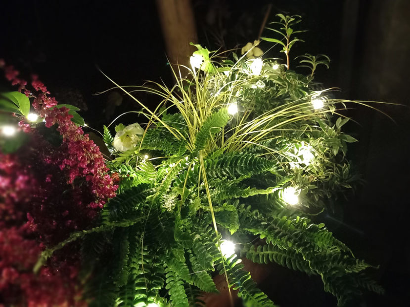  - 01 - Advent - Craciun