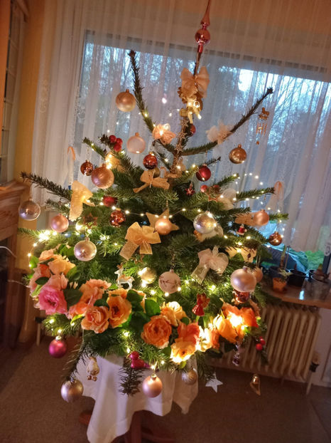  - 01 - Advent - Craciun